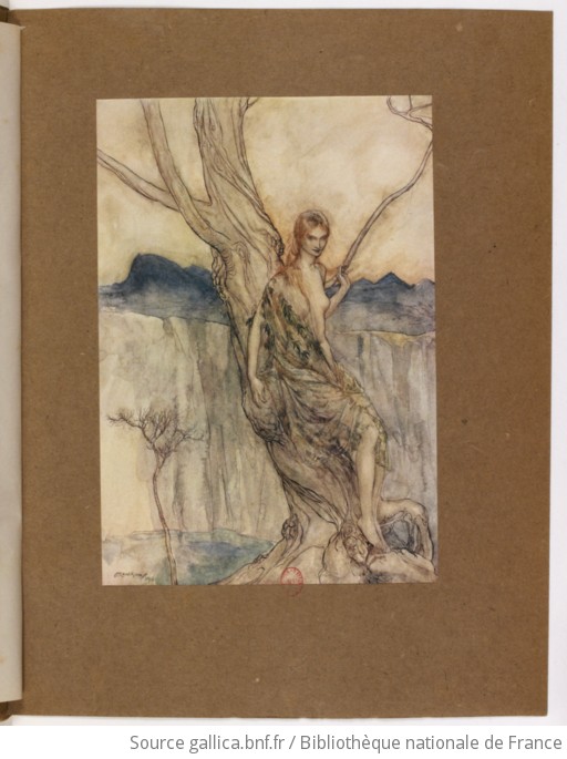 L Oeuvre De Arthur Rackham Ouvrage Illustr De Planches En