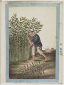 Exploitation du Ma ou chanvre de la Chine  Atelier Yoeequa. 1830-1840