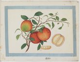 Fruits et légumes  1830-1840
