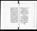 Comptes rendus des séances du Divan du Caire, en l'an IX de la République française  1800-1801