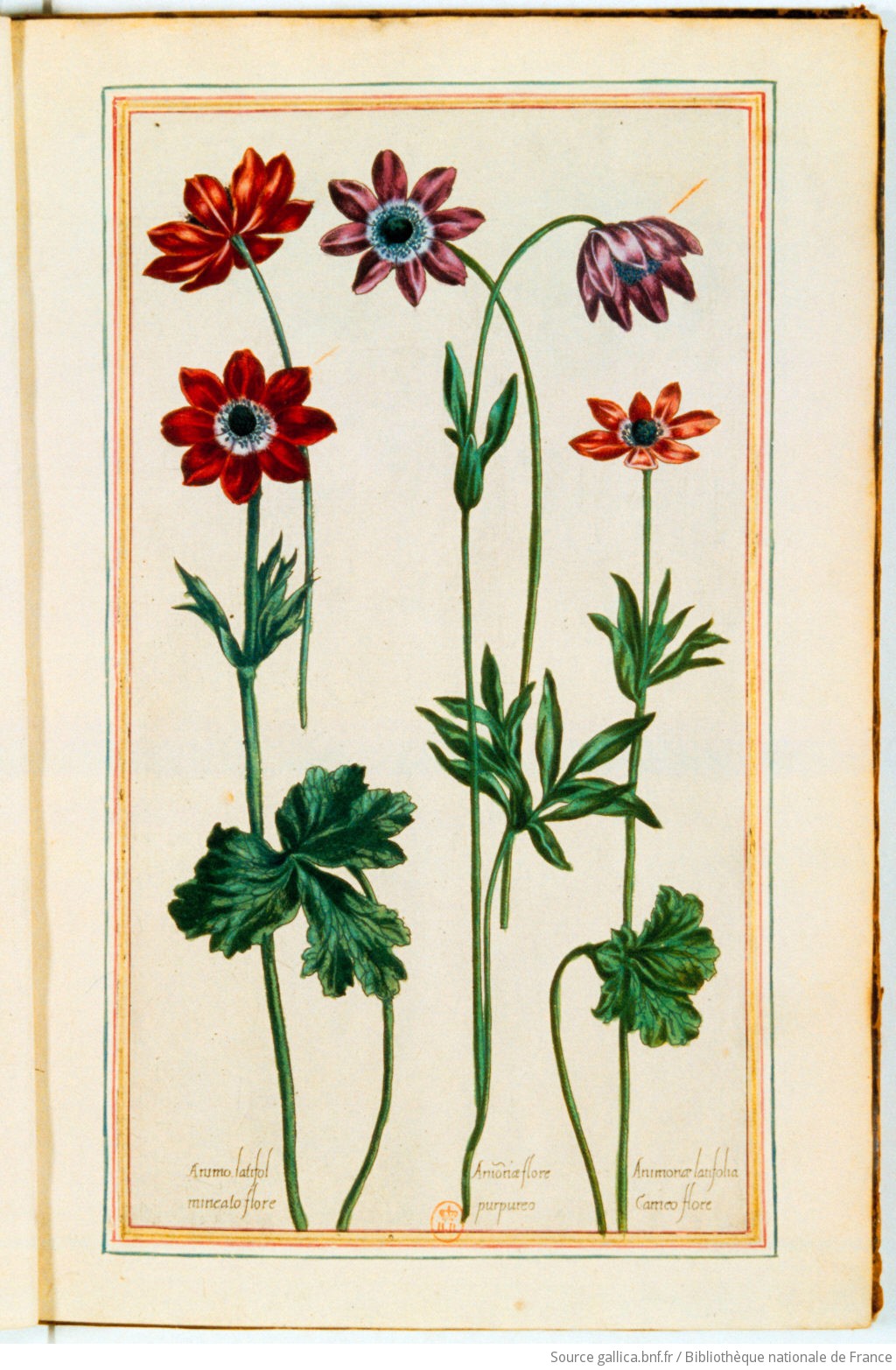 [Illustrations de Le Jardin du très chrestien Henry IV.] / [Non identifié] ; Pierre Valet, aut du texte - 5