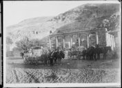 Australiens faisant halte à l'extérieur d'un amphithéâtre construit par le roi Hérode. Rabbath Ammon, Amman, Jordanie  Agence Rol. 1919