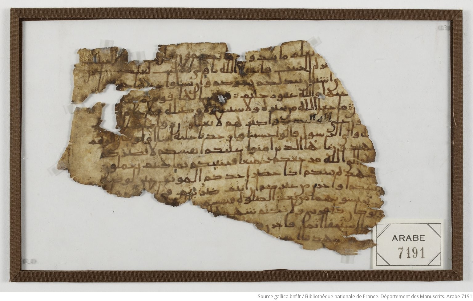Fragments coraniques de la collection Seymour de Ricci. Coran