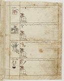 vue 19 - folio 14r