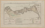 A Plan of the Operations of the British Forces in Egypt from the landing in Aboukir Bay on the 8 th. of March to the Battle of Alexandria, March 21st inclusive <br> 1801