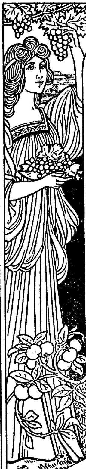 Femme cueillant du raisin (art nouveau). Image publiée à Saint-Étienne en juillet 1904 dans le journal : Le Sentier : organe mensuel des œuvres de jeunesse et d'action catholique du Forez, du Velay et du Vivarais