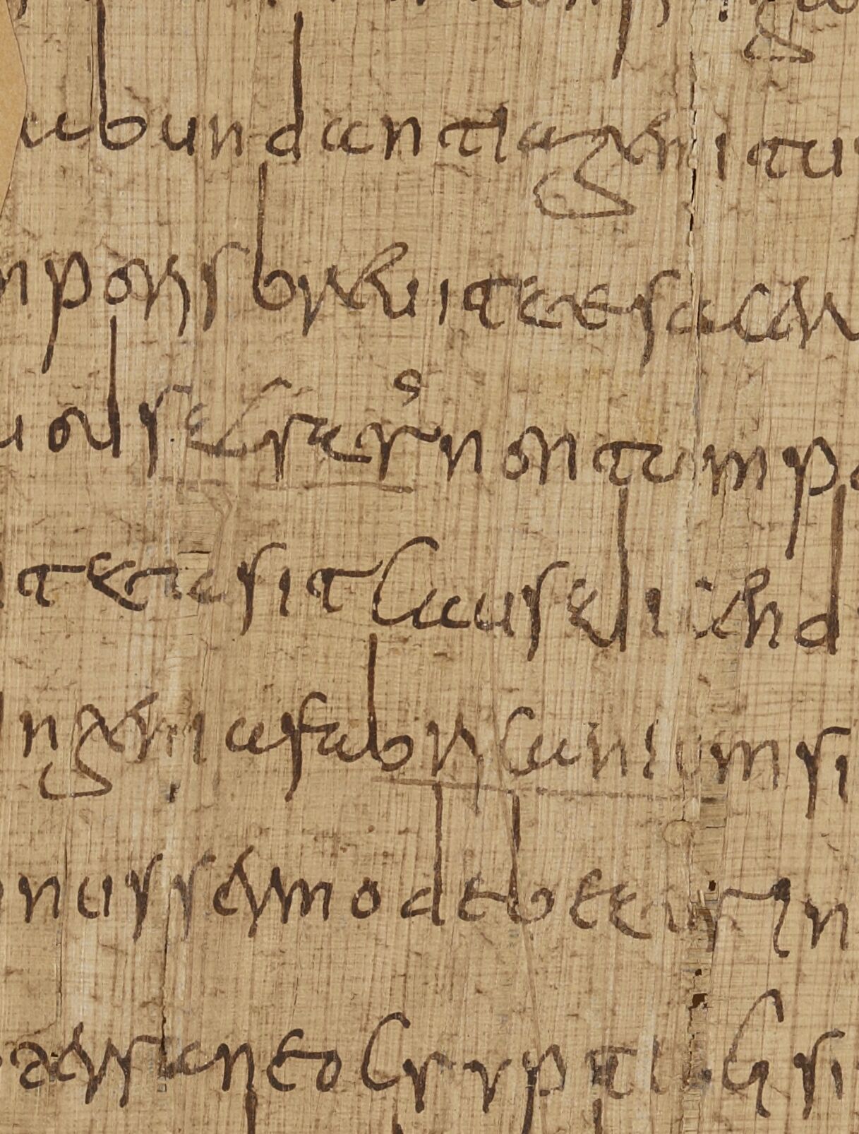 S. Avitus, Viennensis ep., Homiliae et Epistolae, fragmenta. Latin 8913
