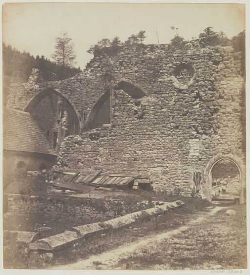 Allerheilichen [duchy of Bade, ruins of Allerheiligen]: [photograph]/[attributed to Victor Stribeck]