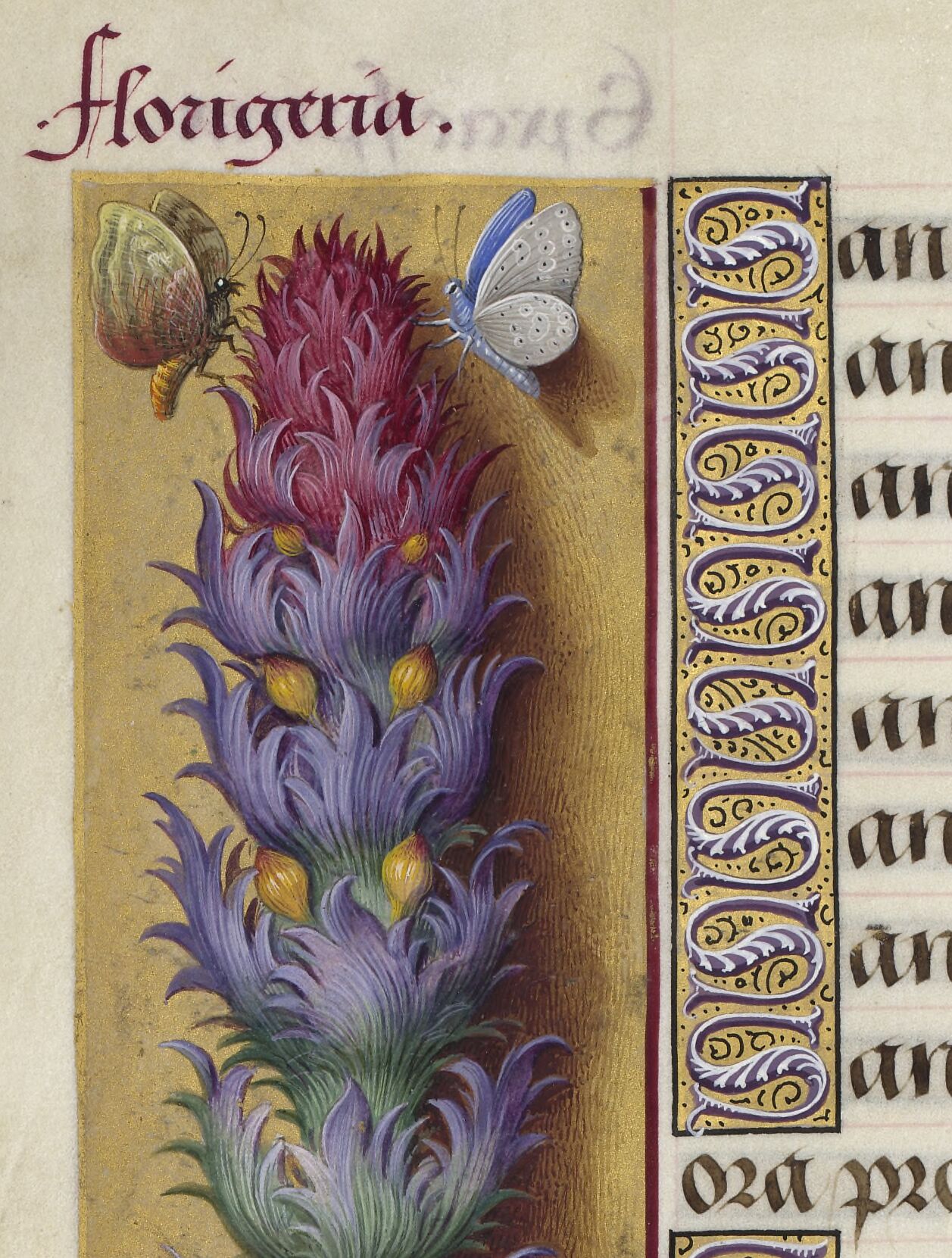 Grandes Heures d'Anne de Bretagne.