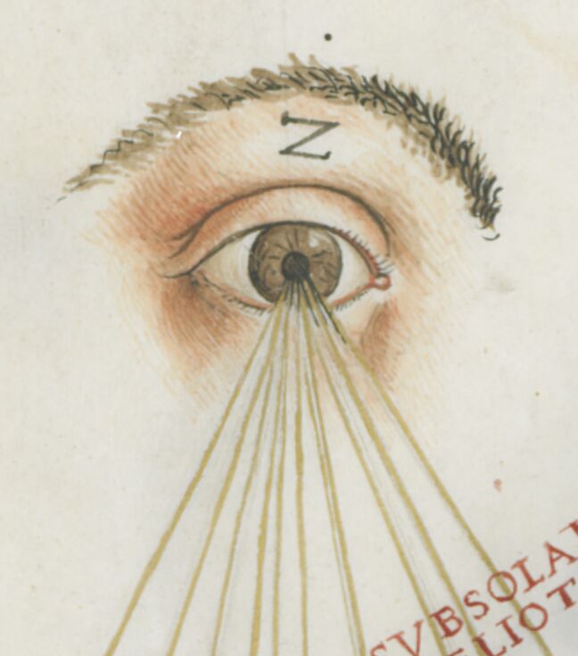 All-seeing eye: Zodiacus