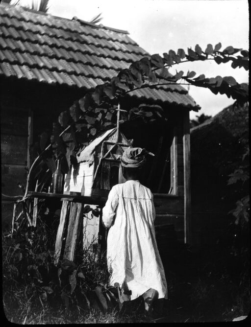 Martinique. Sur la route, près Fort-de-France (Déc. 1894) / [photogr.] Salles ; [photogr. reprod. par Molténi?]