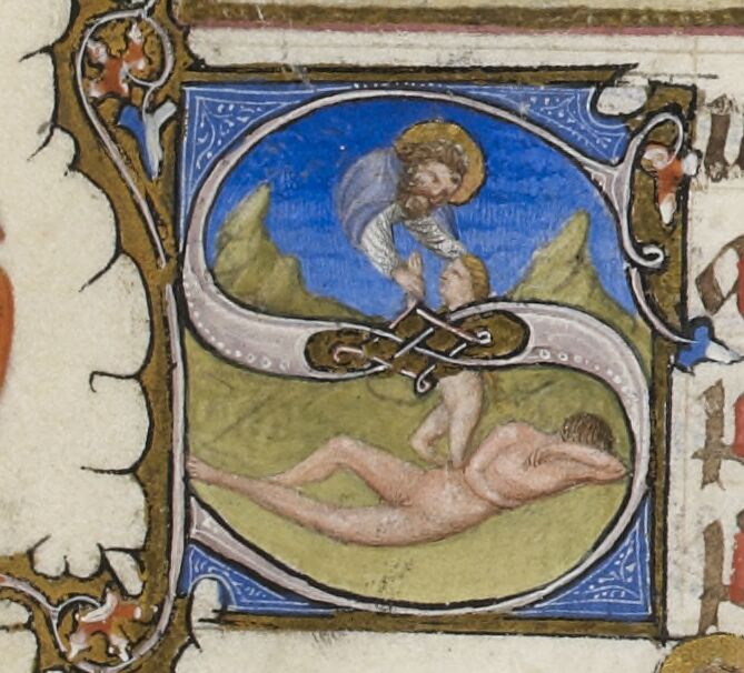 Creation of Eve in historiated S