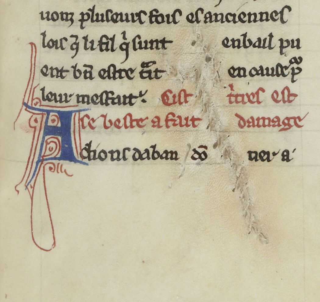 Stitched parchment