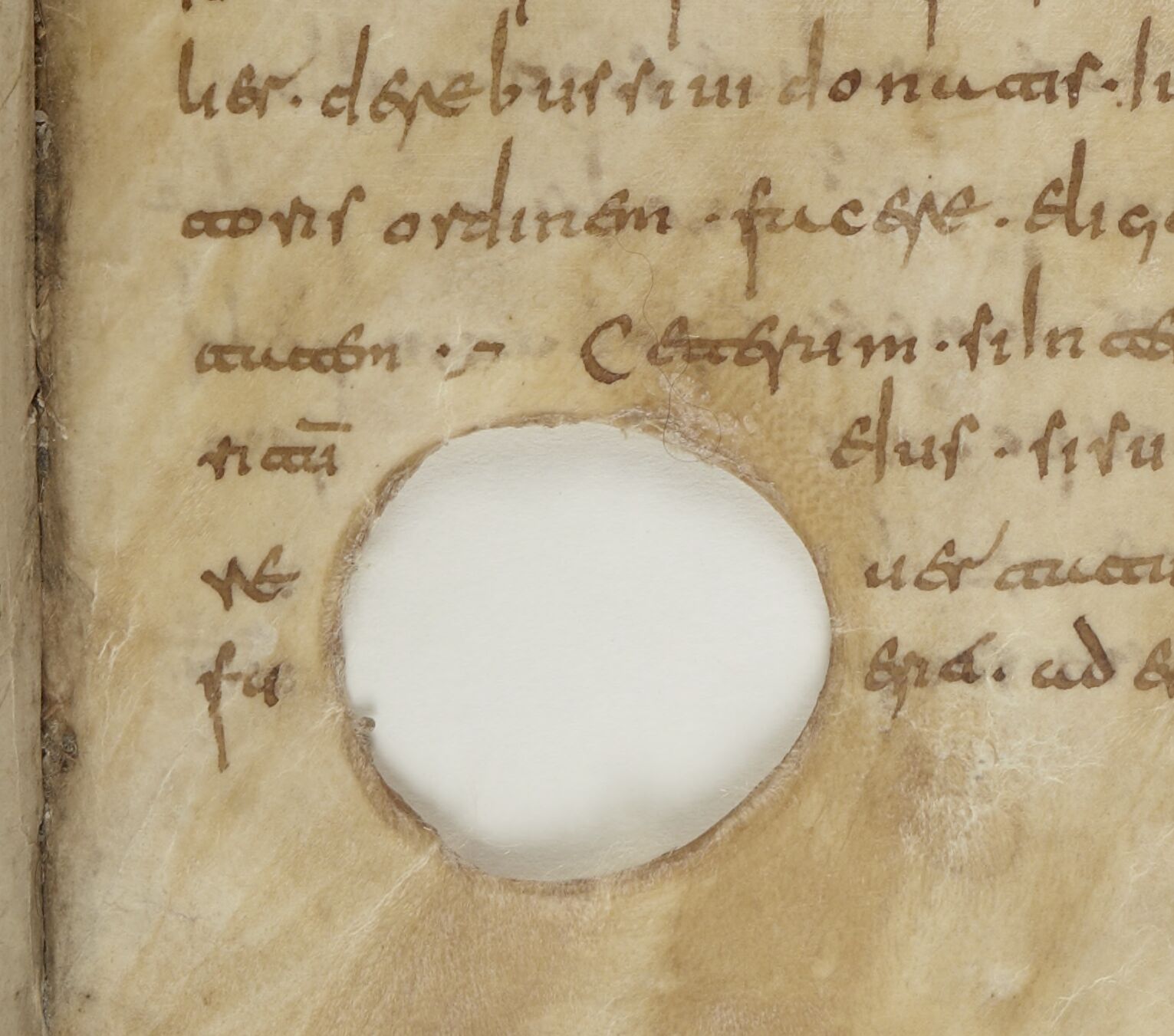 leges Visigothorum, libris duodecim : nonnulla sub finem desiderantur ; praemittuntur praefatio et Regum Visigothorum breve chronicon