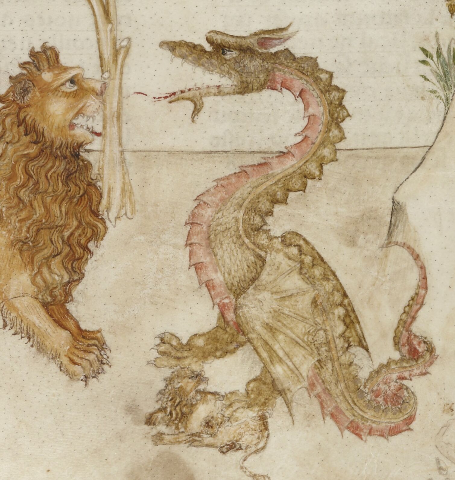 Dragon steals a lioncub