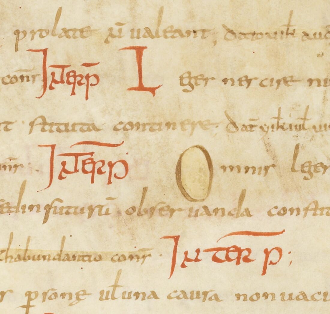 1.° Codicis Theodosiani libri sexdecim ; hîc solae occurrunt interpretationes : praemittitur opusculum quod inscribitur ; Judicia Dei. — 2.° Theodosii Junioris, Valentiniani III. Marciani et Majoriani novellae constitutiones. — 3.° Gaii Institutionum epitome. — 4.° Julii Pauli sententiarum libri quinque, cum interpretationibus. — 5.° Excerpta e Codice Gregoriano, Hermogeniano et Papianeo. — 6.° Leges divi Anthemii. — 7.° Alia excerpta ex Codice Gregoriano