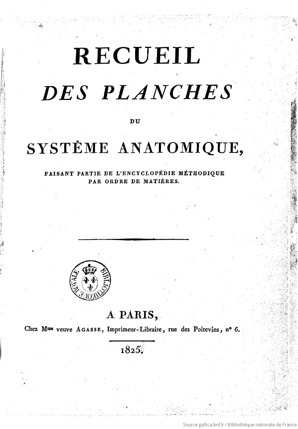 Fichier:J. Wittmaack-Planche anatomique peinte (1).jpg — Wikipédia