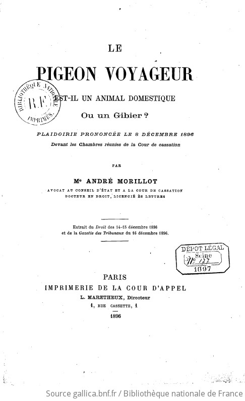 Le Pigeon voyageur est il un animal domestique ou un gibier