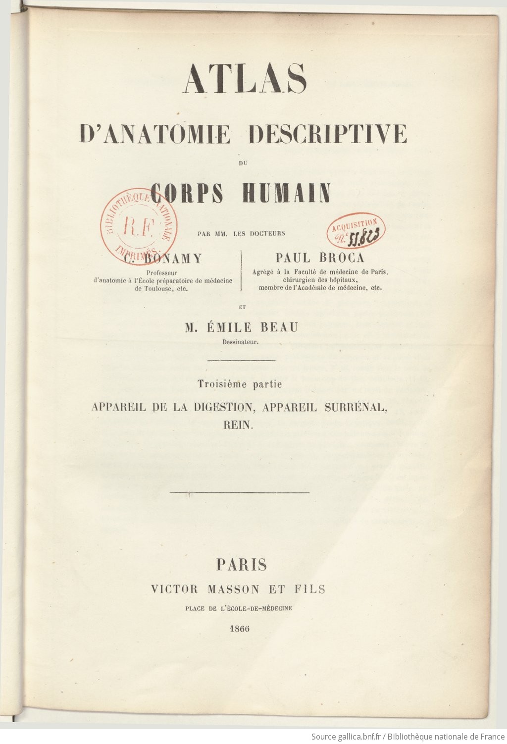 Atlas D Anatomie Descriptive Du Corps Humain Partie 3 Par Mm Les Docteurs C Bonamy Paul Broca Et Emile Beau Dessinateur Gallica