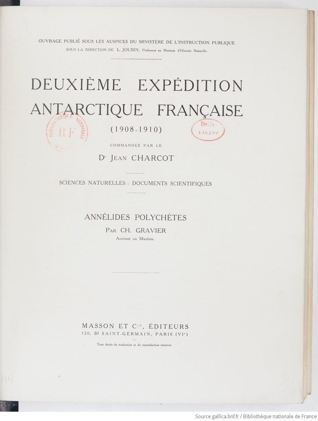 Annélides polychètes