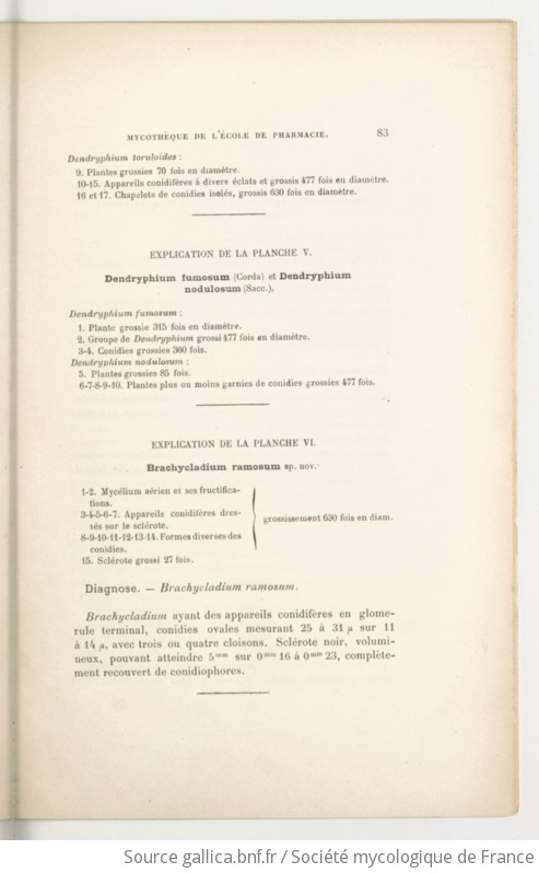 Bulletin Trimestriel De La Soci T Mycologique De France Gallica