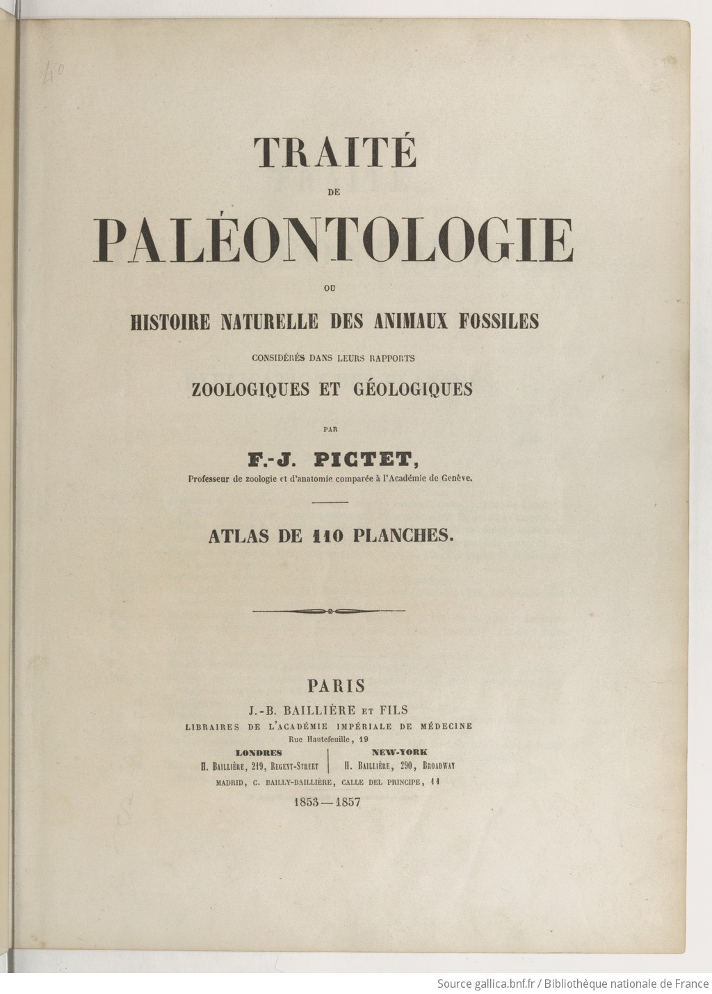 Traité De Paléontologie Ou Histoire Naturelle Des Animaux - 