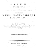 Avium species novae quas in itinere per Brasiliam annis 1817-1820 jussu et auspiciis Maximiliani Josephi I Bavariae regis suscepto  J. B. von Spix. 1824-1825 