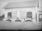 Séchage et conditionnement du café en Indochine  1909