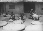 Egrenage du coton en Indochine  XXe