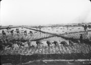 Repiquage du riz  1909