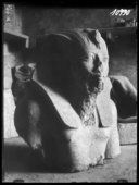 [Médamoud : objet archéologique, tête et buste d'une statue de Thoutmosis IV (Inv.4467, Louvre E13889)]