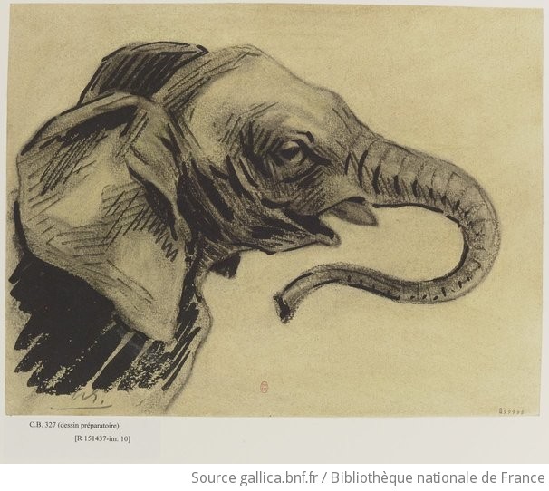 Tete D Elephant Dessin Preparatoire A La Gravure Dessin Hg H Guerard Gallica