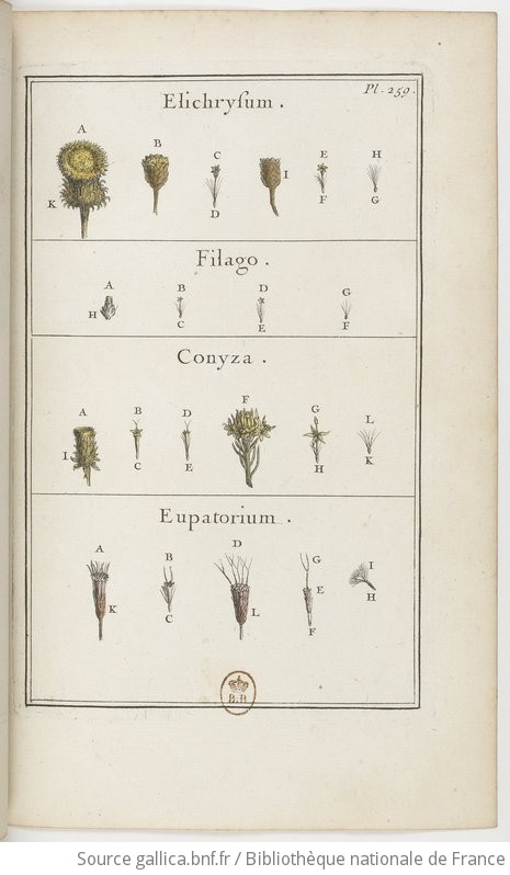 Elemens De Botanique Ou Methode Pour Conno Tre Les Plantes Iii Pl Par Mr