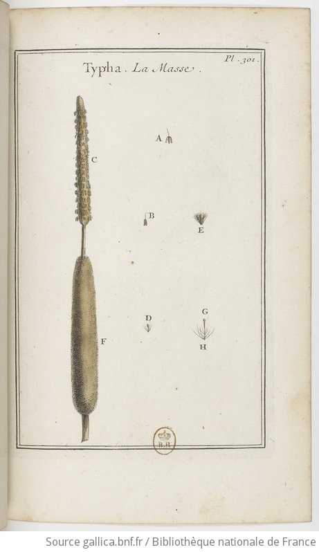 Elemens De Botanique Ou Methode Pour Conno Tre Les Plantes Iii Pl Par Mr