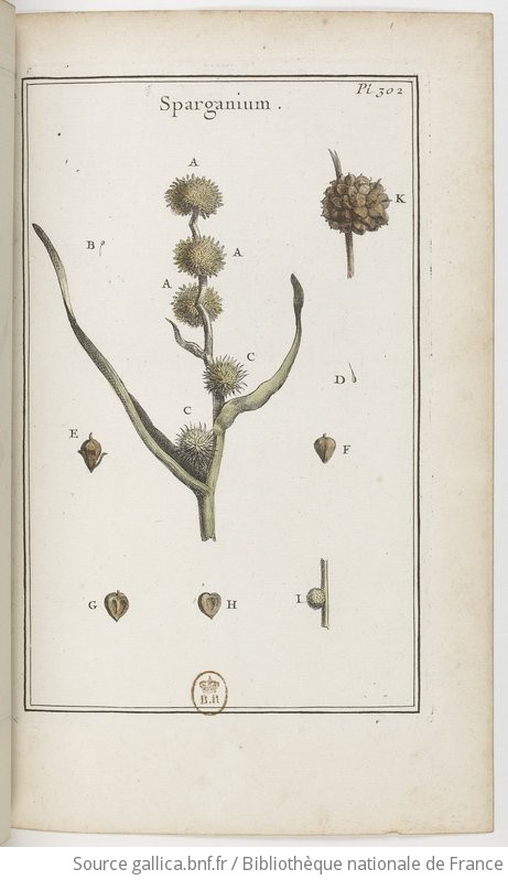 Elemens De Botanique Ou Methode Pour Conno Tre Les Plantes Iii Pl