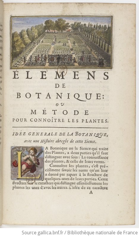 Elemens de botanique, ou Methode pour connoître les plantes. I. [Texte ...