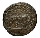 cn coin 11906