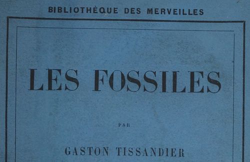 1850-1900_bibliotheque_merveilles_image1.jpg