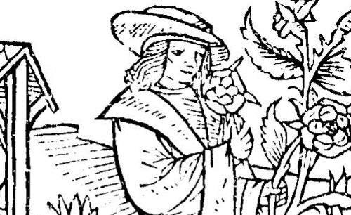 Accéder à la page "Galliot Dupré (1526)"