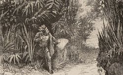 Balle-Franche ; L'Eclaireur ; Les Outlaws du Missouri / par Gustave Aimard ; [ill. de Gustave Doré, Horace Castelli, J. Gerlier] vue 385
