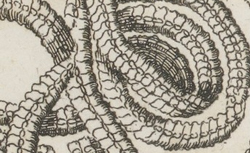 ANDRY de BOISREGARD, Nicolas (1658-1742) De la Génération des vers dans le corps de l'homme