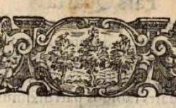 AROMATARI, Giuseppe degli (1587-1660) Epistola de generatione plantarum ex seminibus