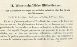 BALBIANI, Gérard (1823-1899) Sur la structure du noyau des cellules salivaires chez les larves de Chironomus