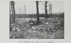 La bataille de Verdun (1914-1918), Michelin, 1919