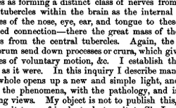 BELL, Charles (1774-1842) Idea of a new anatomy of the brain