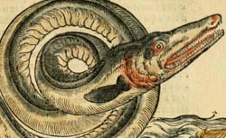 BELON, Pierre (1517-1564) L'histoire naturelle des estranges poissons marins