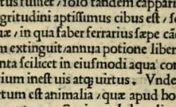 BENIVIENI, Antonio (1443-1502) De abditis nonnullis ac mirandis morborum et sanationum causis