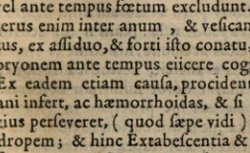 BONDT, Jakob de (1592-1631) De medicina Indorum