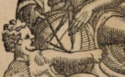 BRAHE, Tycho (1546-1601) Epistolarum astronomicarum libri