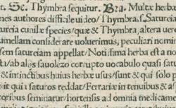 BRASAVOLA, Antonio Musa (1500-1555) Examen omnium simplicium medicamentorum